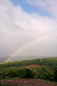 rainbow